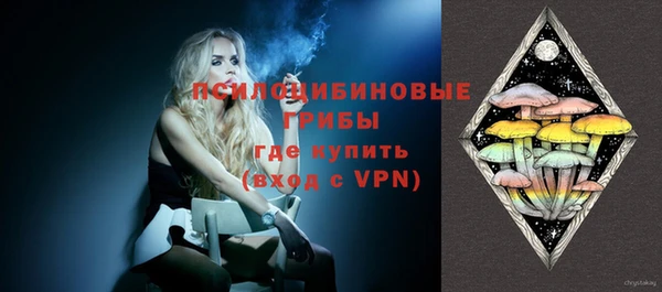 ПСИЛОЦИБИНОВЫЕ ГРИБЫ Лагань
