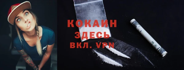 мдпв Кулебаки