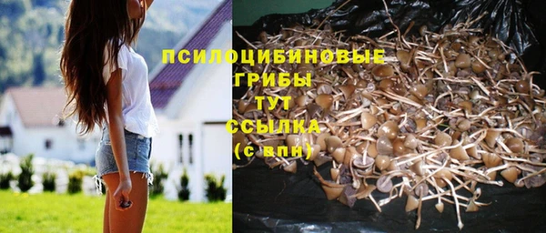 прущие крисы Костерёво