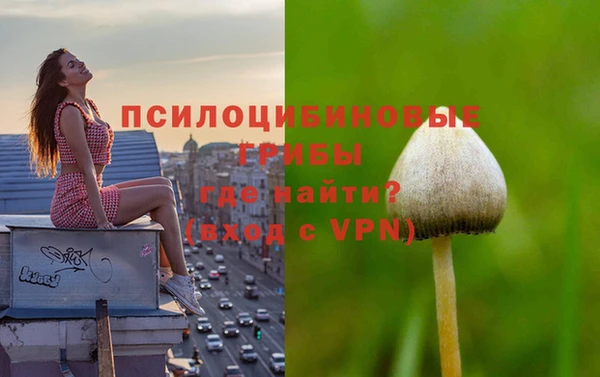 ALPHA PVP Красноперекопск