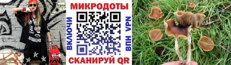 Галлюциногенные грибы прущие грибы  Красноперекопск 