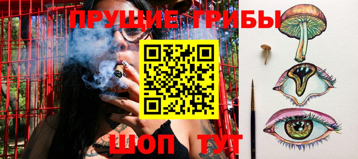 Псилоцибиновые грибы мухоморы  Вход с VPN  Псилоцибиновые грибы GOLDEN TEACHER  Красноперекопск 